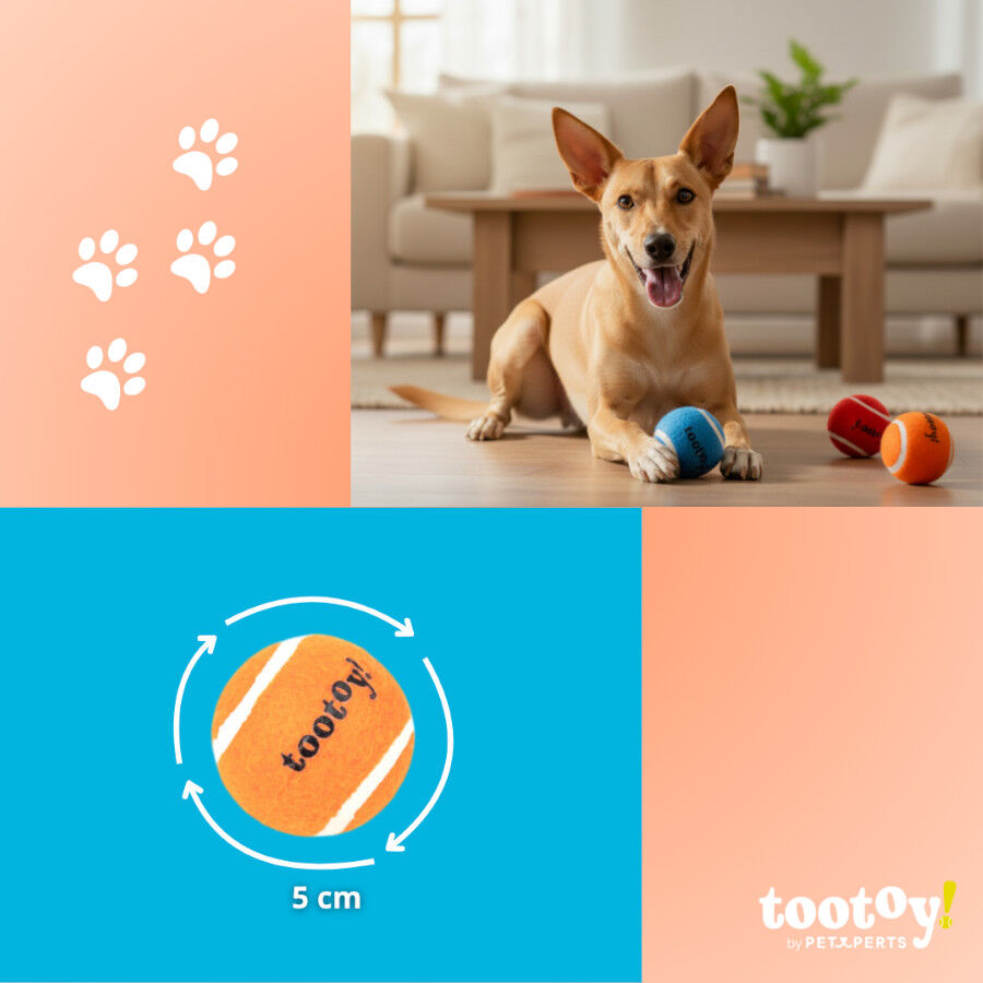 Tootoy! Chase Conjunto 3 bolas com apito mini para c&atilde;es, , large Imagem n&uacute;mero 4
