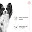 85 g Royal Canin X-Small Adult saquetas com molho para cães, , large Indicador imagem número 4