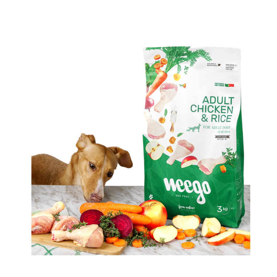 Weego Low Grain Ra&ccedil;&atilde;o de frango e arroz para c&atilde;es, , large Imagem n&uacute;mero 4