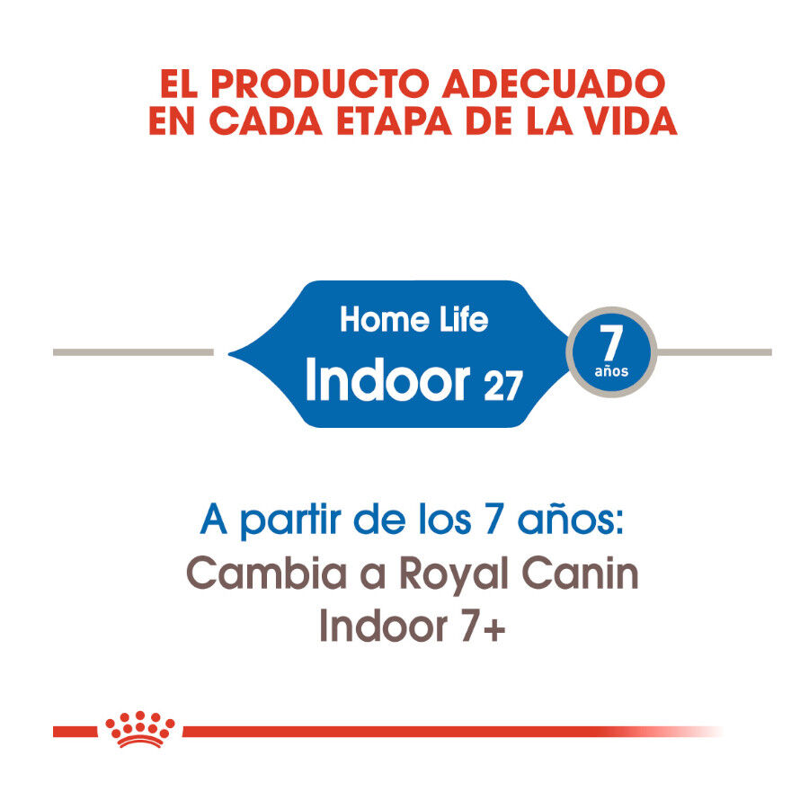 10 kg Royal Canin Home Life Indoor 27 ra&ccedil;&atilde;o para gatos, , large Imagem n&uacute;mero 4