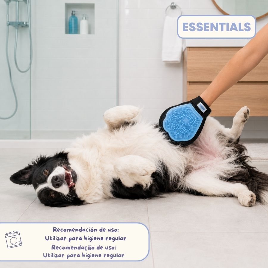 Bloob Luva-Escova para c&atilde;es, , large Imagem n&uacute;mero 8
