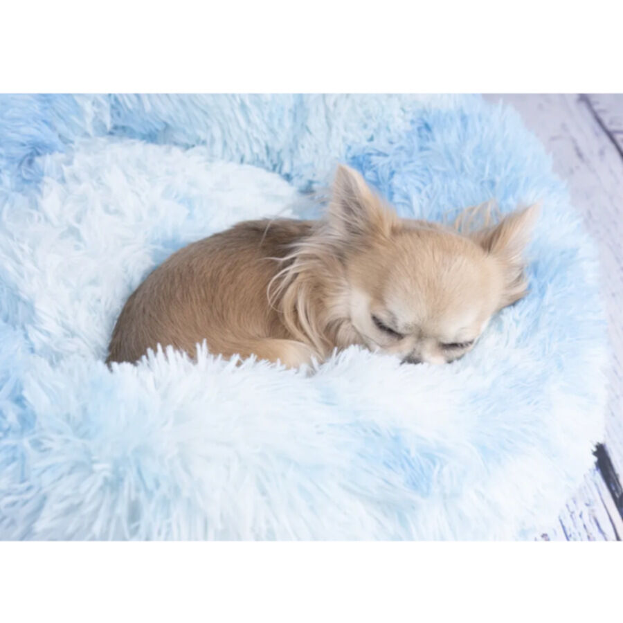 Flamingo Demi Redonda Azul cama para c&atilde;es e gatos, , large Imagem n&uacute;mero 4