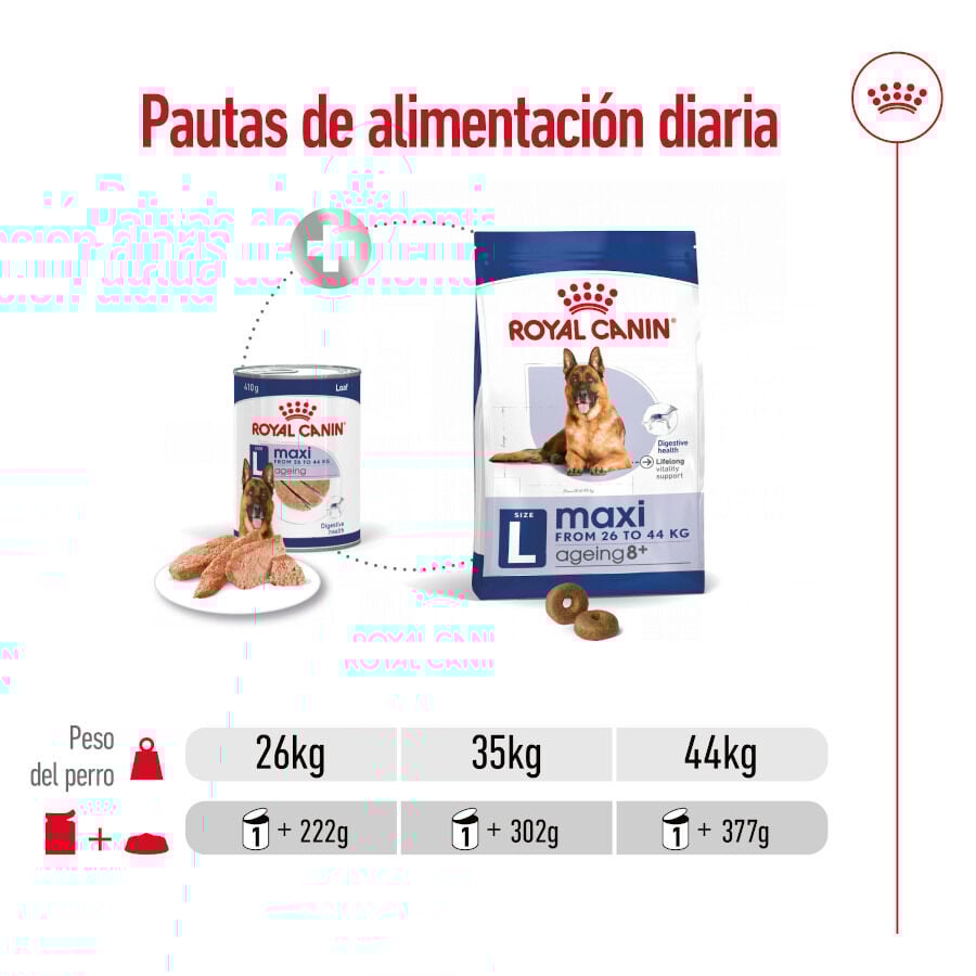 410 g Royal Canin Maxi Ageing 5+ Pat&ecirc; em lata para c&atilde;es, , large Imagem n&uacute;mero 6