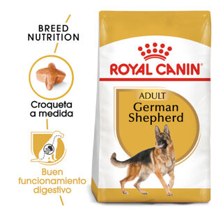 Royal Canin Adult Pastor Alemão ração para cães