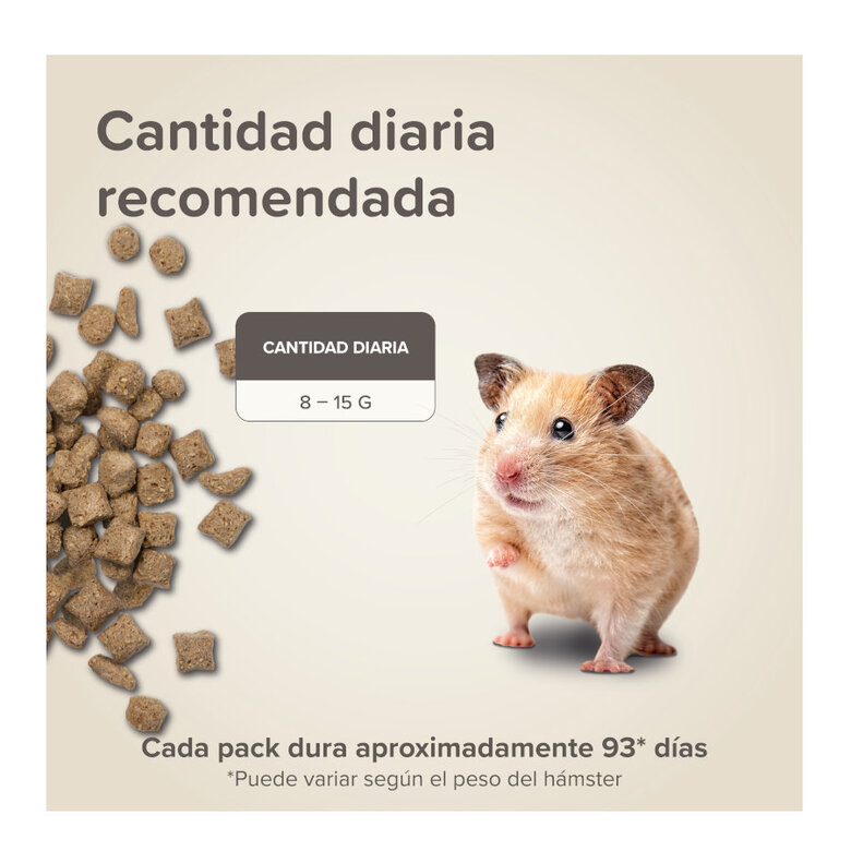 500 g Beaphar Care+ Ração para hámsteres,  Imagem número 7 500 g Beaphar Care+ Ração para hámsteres, , large Imagem número 7