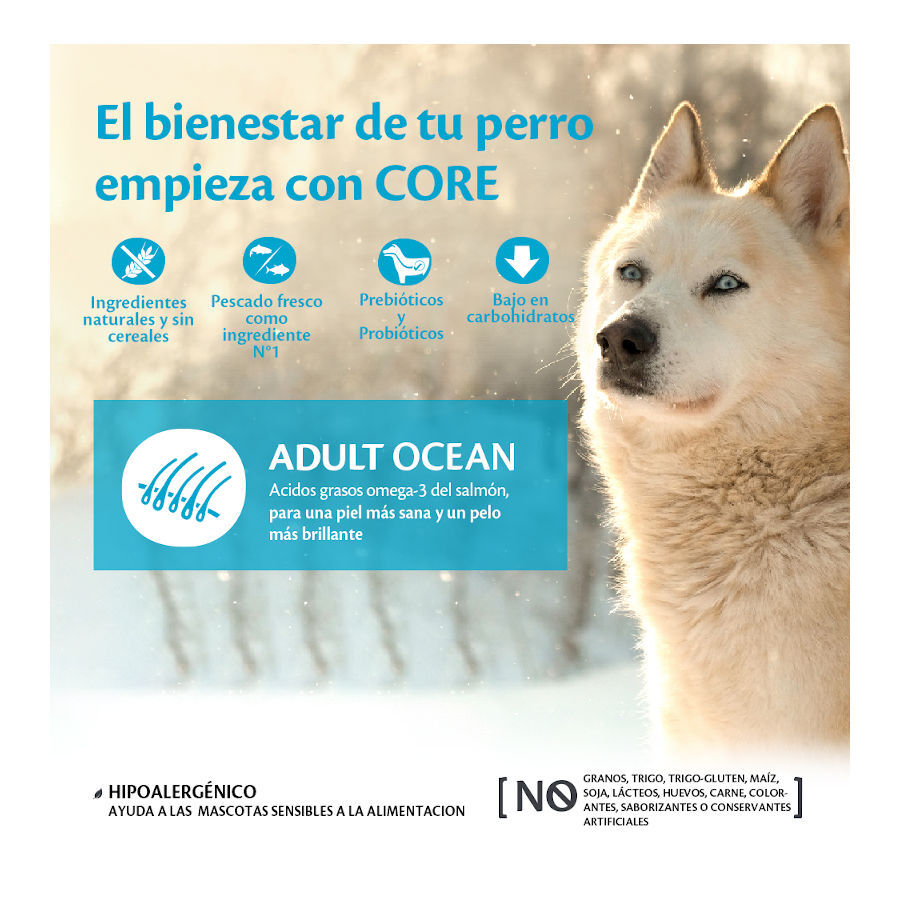 10 kg Wellness Core Adult Medium/Large Ocean Salm&atilde;o e Atum ra&ccedil;&atilde;o para c&atilde;es , , large Imagem n&uacute;mero 2
