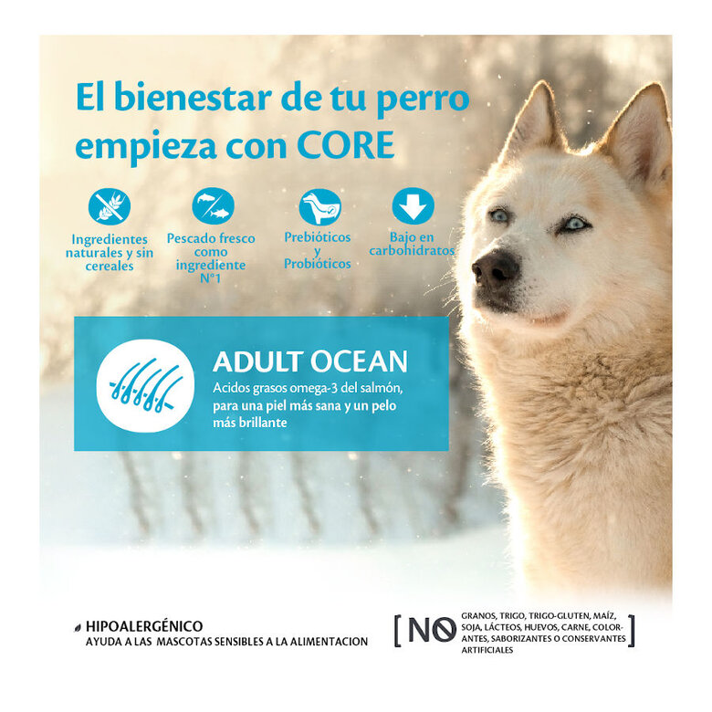 Wellness Core Adult Medium/Large Ocean Salmão e Atum ração para cães , , large image number null