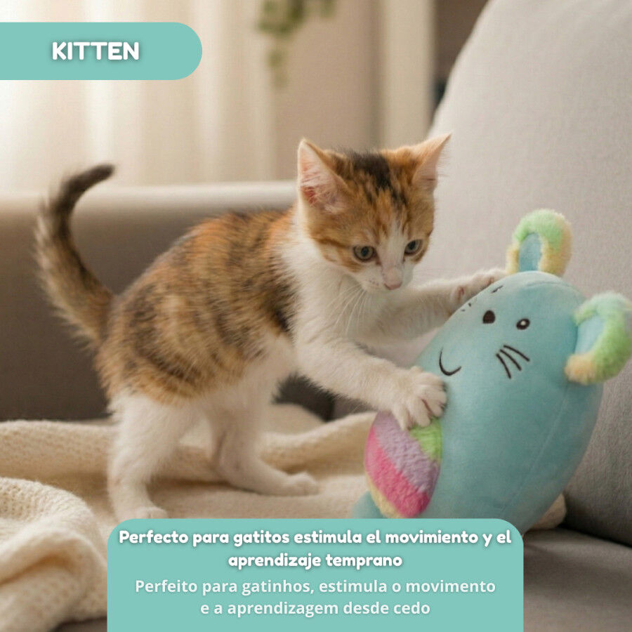 Tootoy! Kitten Peluche Arco-&iacute;ris para gatos, , large Imagem n&uacute;mero 5