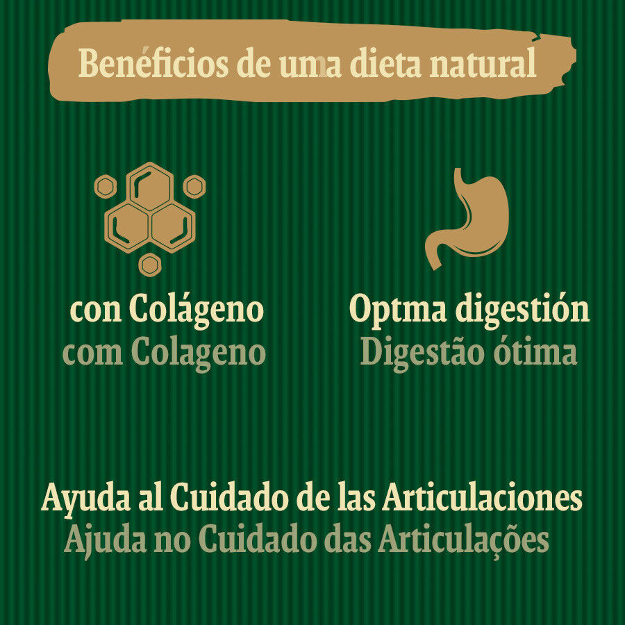 1 ud. True Origins Joints Chewing Sticks Snack para perros, , large Imagem n&uacute;mero 5