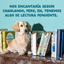 150 g Edgard & Cooper Puppy Grain Free Comida h&uacute;mida de Peru em saquetas para c&atilde;es, , large Indicador imagem n&uacute;mero 11