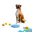 Summer Vibes Frisbee x 3 Balls Kit Bolas e Frisbee para c&atilde;es, , large Indicador imagem n&uacute;mero 7