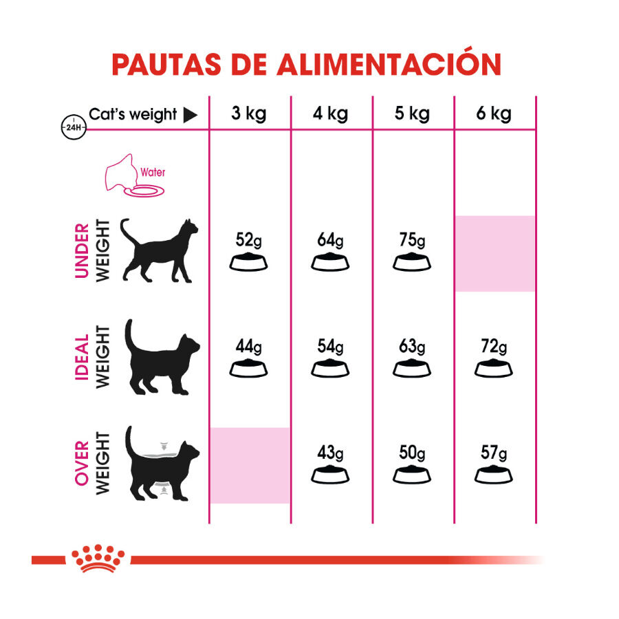10 kg Royal Canin Regular Fit 32 ra&ccedil;&atilde;o para gatos, , large Imagem n&uacute;mero 6