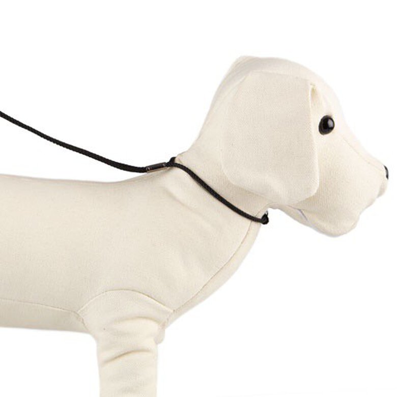 TK-Pet negro collar-correa de exposición perros Imagem número 1 TK-Pet negro collar-correa de exposición perros Imagem número 1
