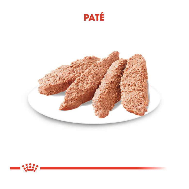 85 g Royal Canin Sterilised Patê em saquetas para cães ,  Imagem número 3 85 g Royal Canin Sterilised Patê em saquetas para cães , , large Imagem número 3