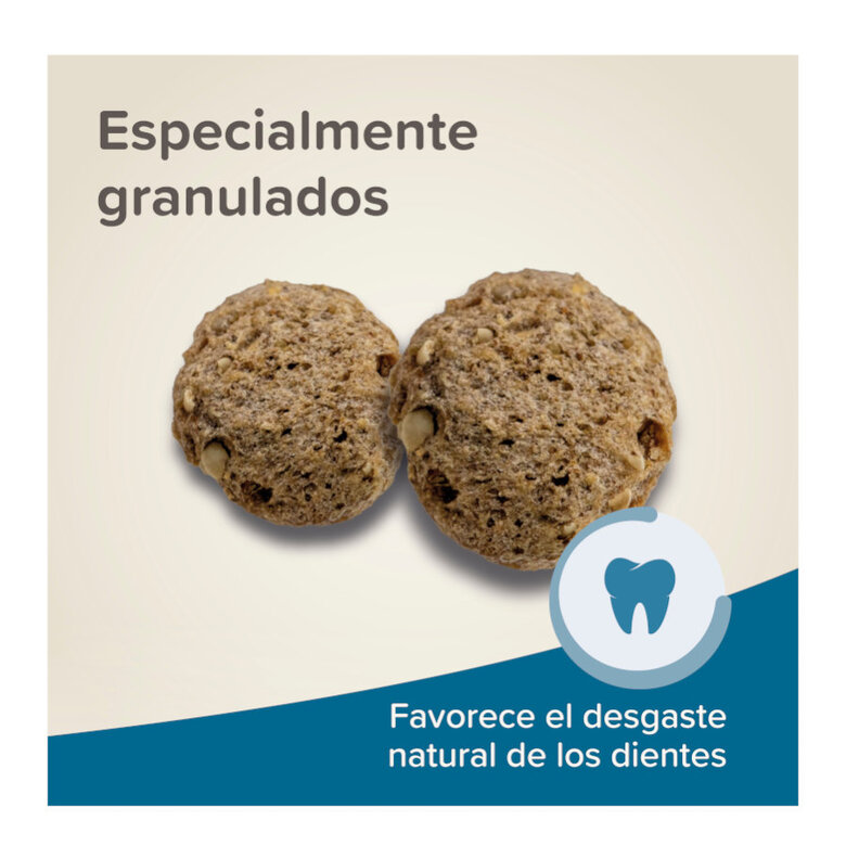 Beaphar Care+ Alimento para ratos e gerbilos,  Imagem número 6 Beaphar Care+ Alimento para ratos e gerbilos, , large Imagem número 6