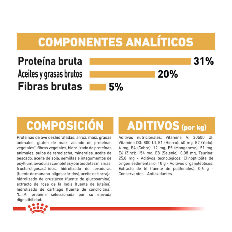 4 kg Royal Canin Adult Maine Coon ração para gatos,  Imagem número 6 4 kg Royal Canin Adult Maine Coon ração para gatos, , large Imagem número 6