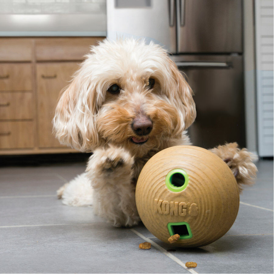 Kong Bamboo Bola Porta-Snacks para c&atilde;es, , large Imagem n&uacute;mero 2