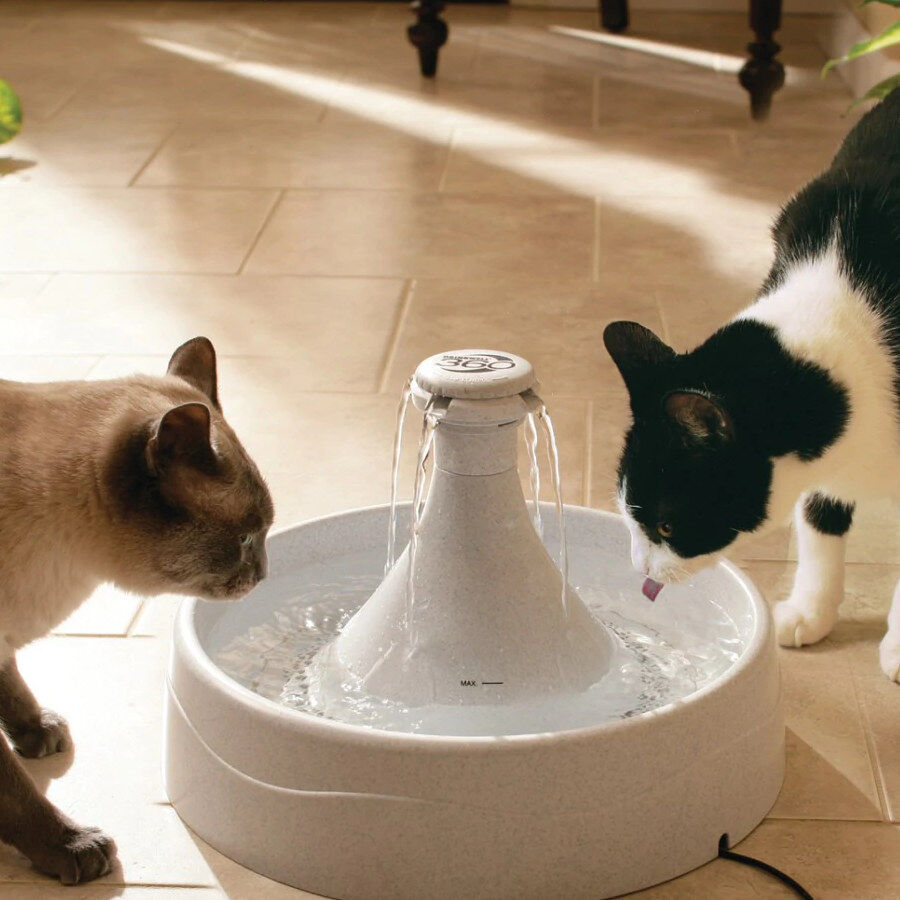 Petsafe Drinkwell Fonte Bebedouro para c&atilde;es e gatos, , large Imagem n&uacute;mero 2