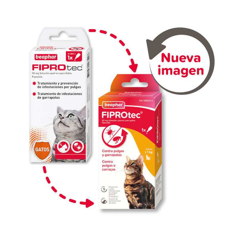 Beaphar Firprotec Pipetas antiparasitárias para gatos, , large image number null