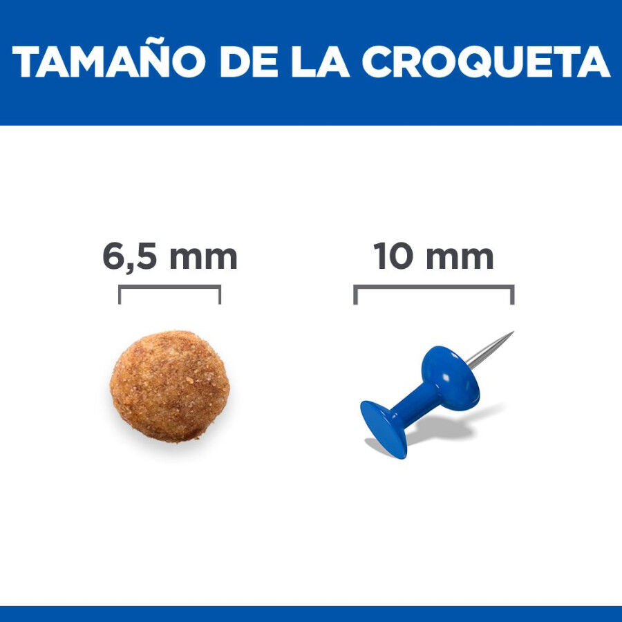 1.5 kg Hill's Urinary Frango ra&ccedil;&atilde;o para gatos , , large Imagem n&uacute;mero 4