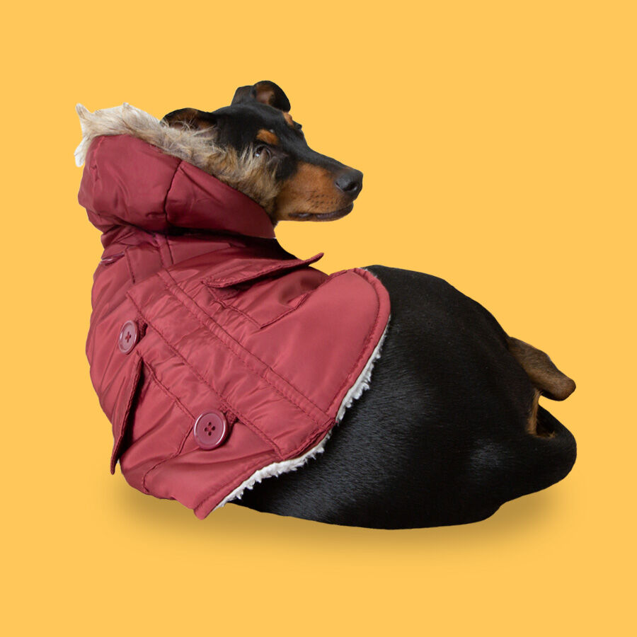 Outech Granada Casaco com Capuz para c&atilde;es, , large Imagem n&uacute;mero 2