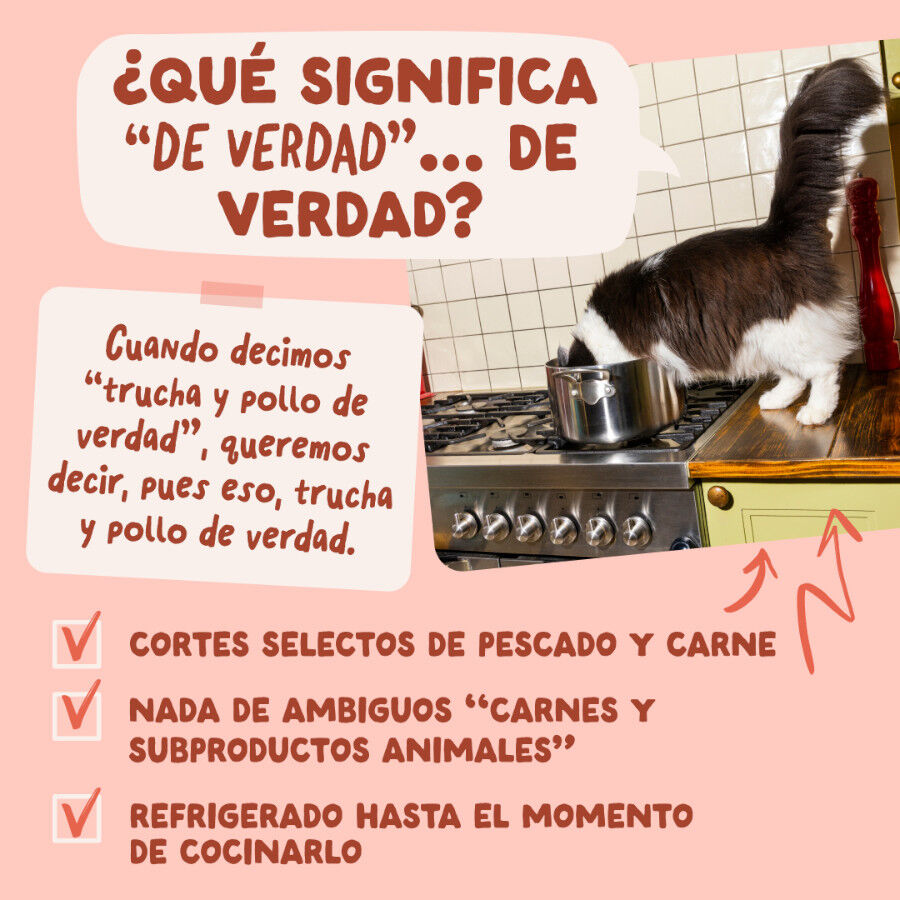 85 g Edgard & Cooper Trucha y Pollo sobre en salsa para gatos, , large Imagem n&uacute;mero 5