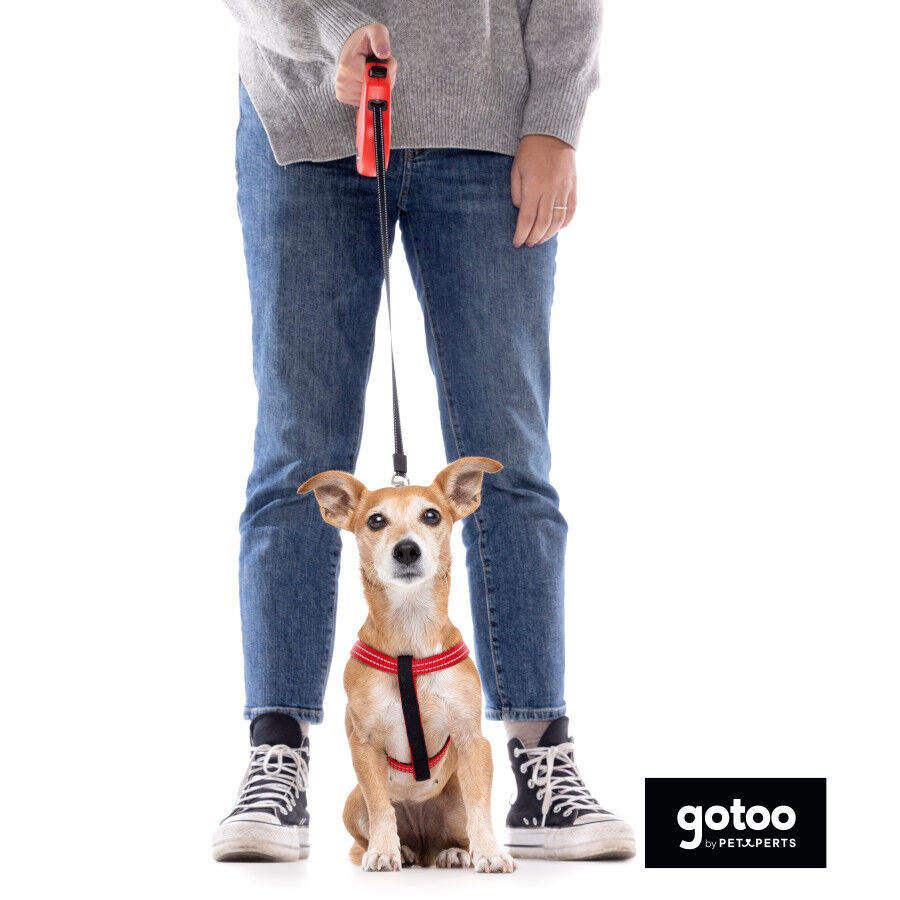 Gotoo Peitoral vermelho de nylon refletor para c&atilde;es, , large Imagem n&uacute;mero 6