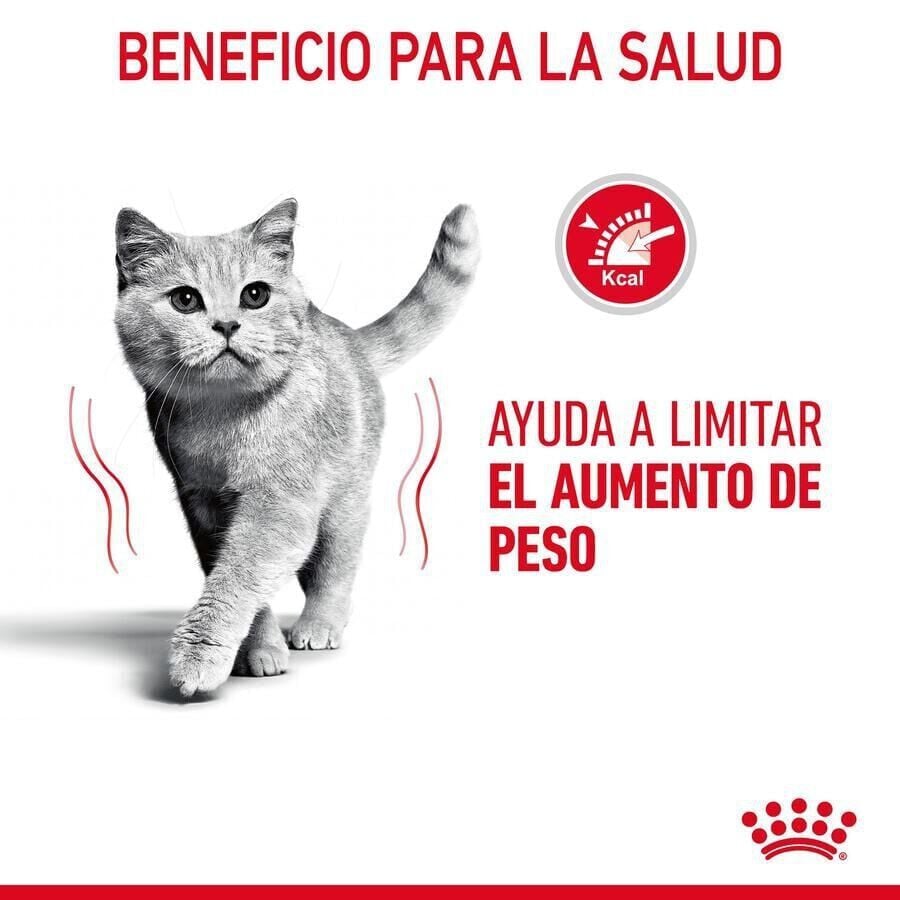 8 kg Royal Canin Adult Light Weight Care ra&ccedil;&atilde;o para gatos, , large Imagem n&uacute;mero 6