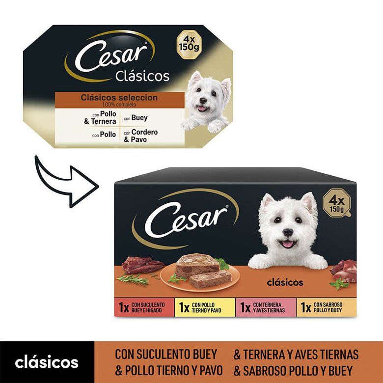 4 terrinas x 150 g Cesar Seleção Clássicos Terrina em Patê para Cães - Multipack,  Imagem número 2 4 terrinas x 150 g Cesar Seleção Clássicos Terrina em Patê para Cães - Multipack, , large Imagem número 2