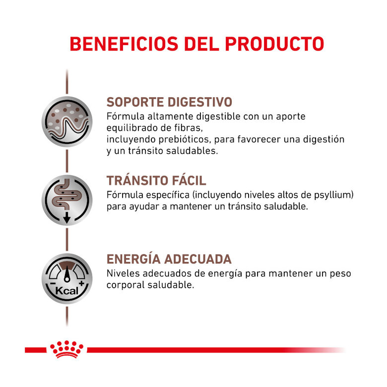 4 kg Royal Canin Veterinary Gastrointestinal Fibre Response ração para gatos,  Imagem número 3 4 kg Royal Canin Veterinary Gastrointestinal Fibre Response ração para gatos, , large Imagem número 3