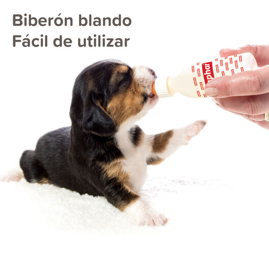Beaphar Lactol Kit Biberão para animais de estimação, , large image number null