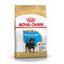 12 kg Royal Canin Puppy Rottweiler ração para cães, , large Indicador imagem número 1