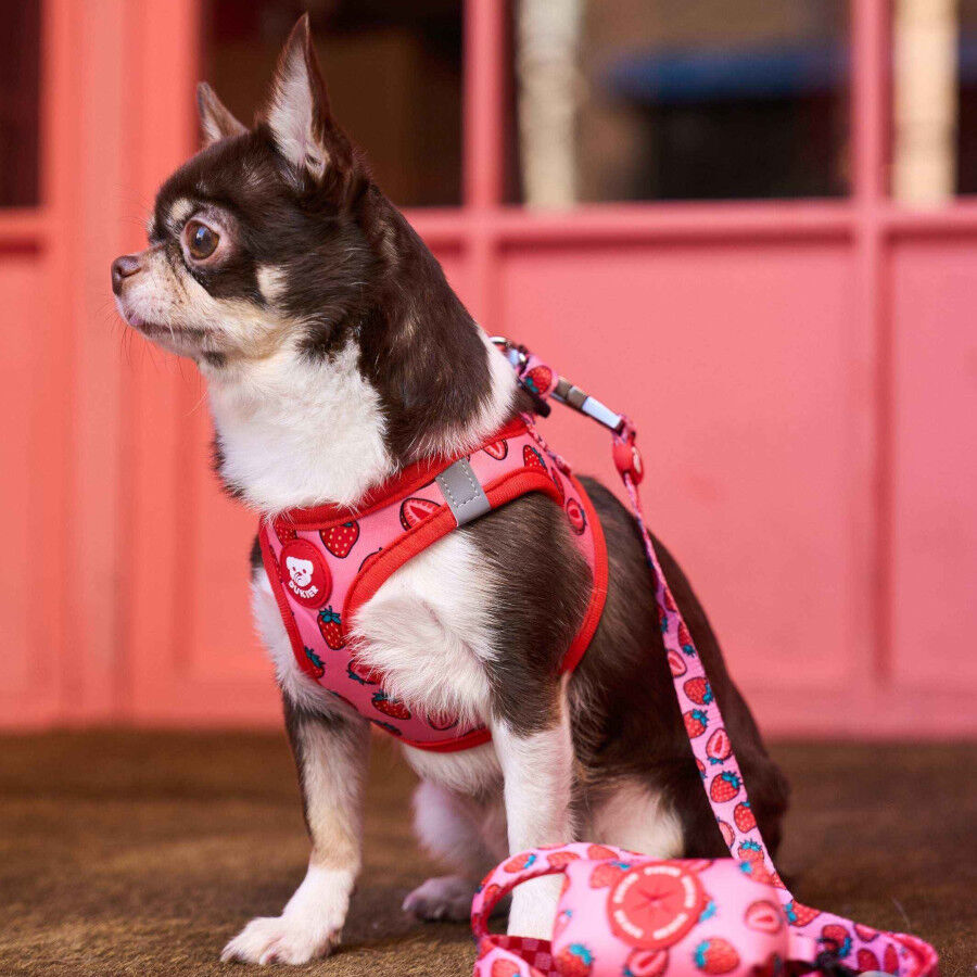 Dukier Trail Arn&ecirc;s body estampado Berry Love para c&atilde;es, , large Imagem n&uacute;mero 2