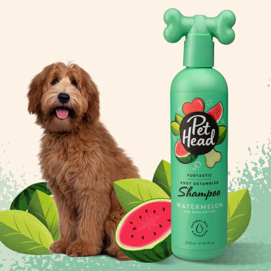 Pet Head Shampoo desembara&ccedil;ador para cachorro de pelos compridos  300ml, , large Imagem n&uacute;mero 2