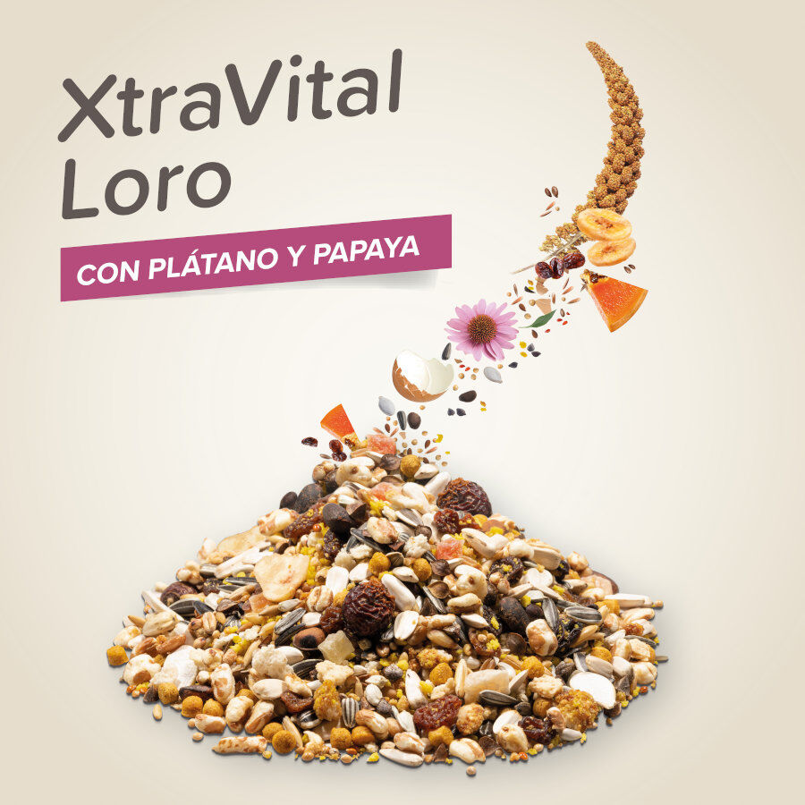 Comida para p&aacute;ssaros Beaphar XtraVital Premium para papagaios, , large Imagem n&uacute;mero 3