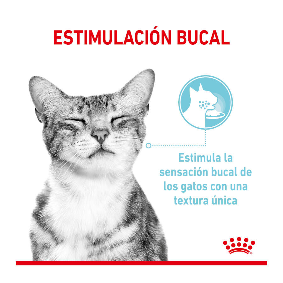 85 g Royal Canin Adult Sensory Feel molho saqueta para gatos, , large Imagem n&uacute;mero 2