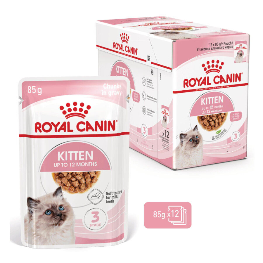 12 saquetas x 85 g Royal Canin Kitten Alimento H&uacute;mido para gatinhos Pack poupan&ccedil;a!, , large Imagem n&uacute;mero 1