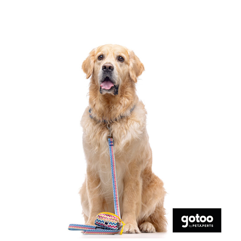 Gotoo Porta-sacoscom estampado de riscas zig-zag para cães,  Imagem número 3 Gotoo Porta-sacoscom estampado de riscas zig-zag para cães, , large Imagem número 3