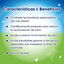 7 sticks Dentalife Snacks Dentários Small ActivFresh para cães, , large Indicador imagem número 3