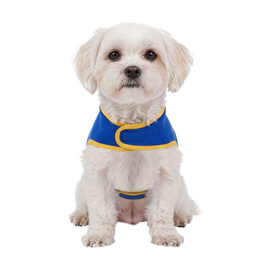 Gotoo Casaco Azul com Bolso para c&atilde;es, , large Imagem n&uacute;mero 7