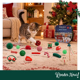 Wonder Christmas Calend&aacute;rio do Advento para gatos