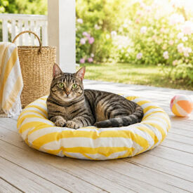Summer Vibes Round Cool Mat Club Cama Refrescante para gatos