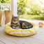Summer Vibes Round Cool Mat Club Cama Refrescante para gatos, , large Indicador imagem n&uacute;mero 3