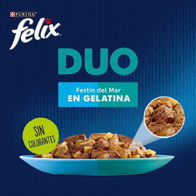 4 saquetas x 85 g Felix Fantastic Duo Delicious Peixe em gelatina para gatos, , large Imagem n&uacute;mero 2