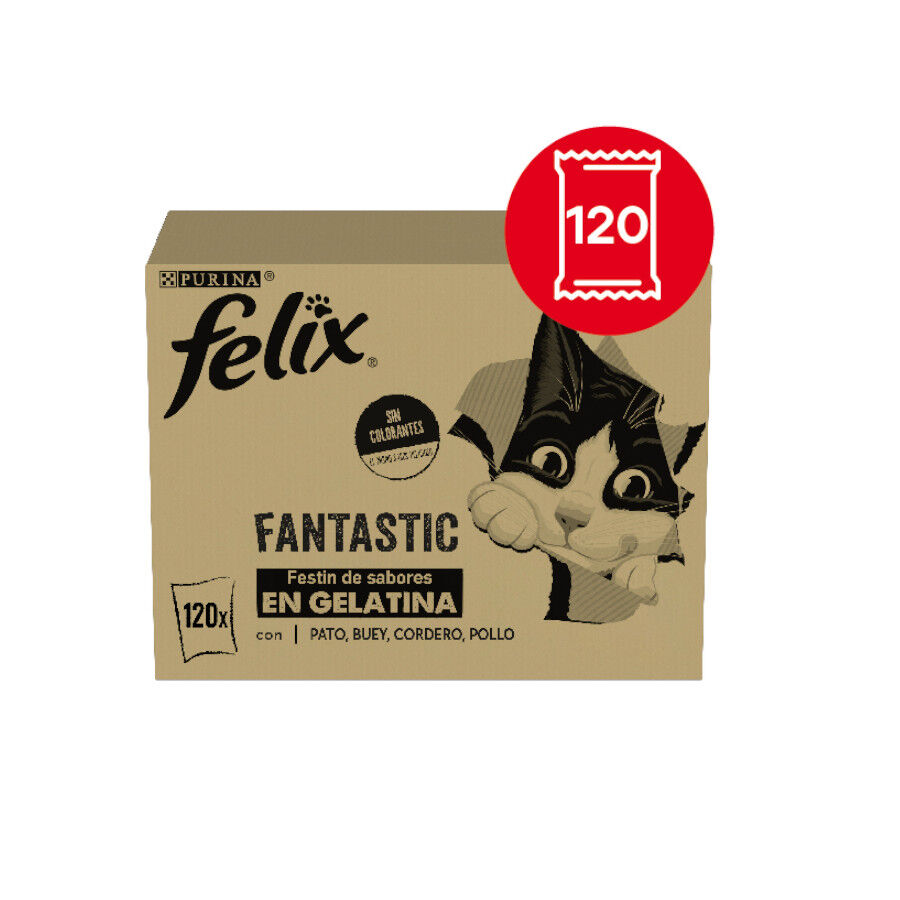 120 saquetas x 85 g Felix Fantastic Sele&ccedil;&otilde;es Favoritas de Carnes em Gelatina saquetas para gatos &ndash; Multipack, , large Imagem n&uacute;mero 2