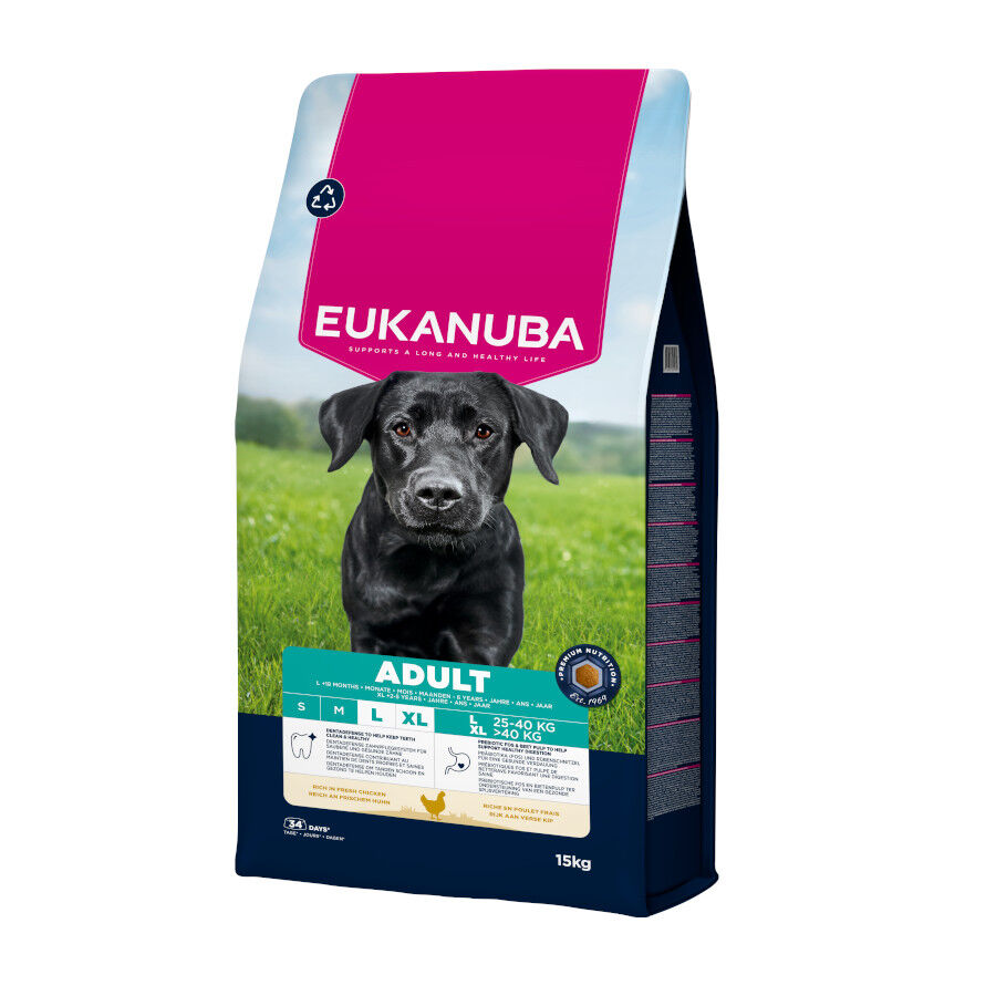 15 kg Eukanuba Adult Large Breed Frango ra&ccedil;&atilde;o para c&atilde;es, , large Imagem n&uacute;mero 2
