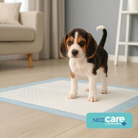 Nice Care Resguardos Premium para cães