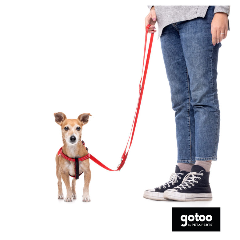 Gotoo Trela de nylon refletora vermelha para cães,  Imagem número 5 Gotoo Trela de nylon refletora vermelha para cães, , large Imagem número 5