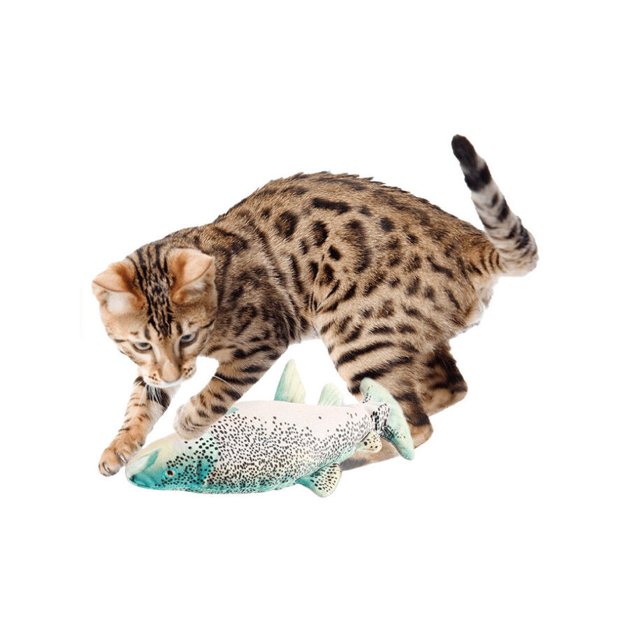All For Paws Natural Instinct Brinquedo Peixe Interativo para gatos , , large Imagem n&uacute;mero 1