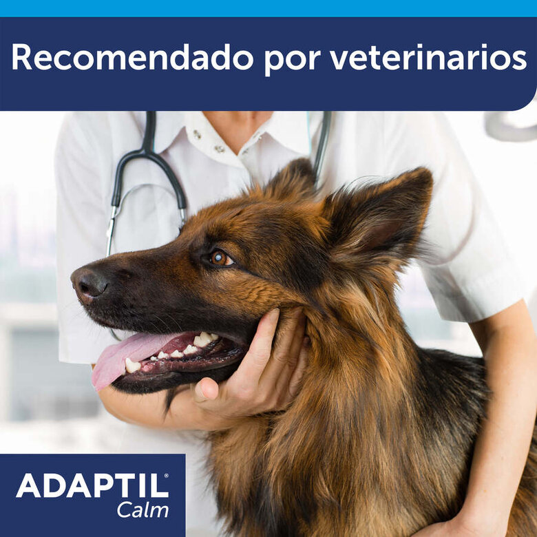 Adaptil Difusor e Recarga Tranquilizante para Cães,  Imagem número 9 Adaptil Difusor e Recarga Tranquilizante para Cães, , large Imagem número 9